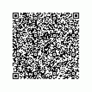 vCard 74733004041