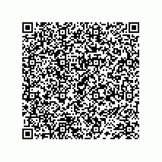 vCard 74733004077