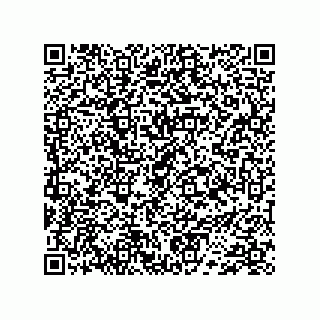 vCard 74733004079