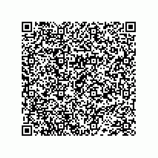 vCard 74733004099