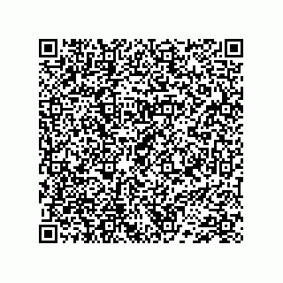 vCard 74733004107