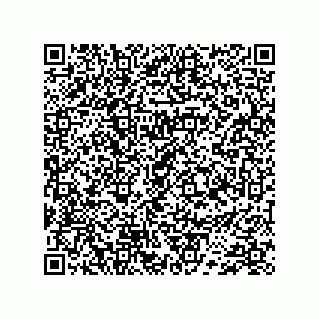 vCard 74733004117