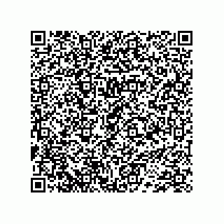 vCard 74733004119