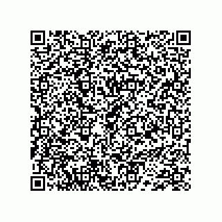 vCard 74733004129