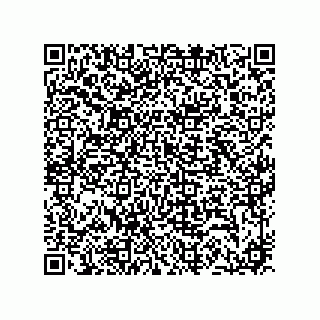 vCard 74733004131