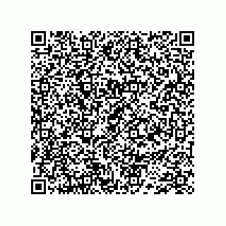 vCard 74733004133