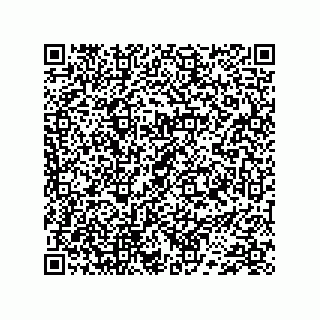 vCard 74733004135