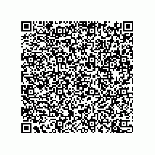 vCard 74733004138