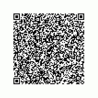 vCard 74733004161