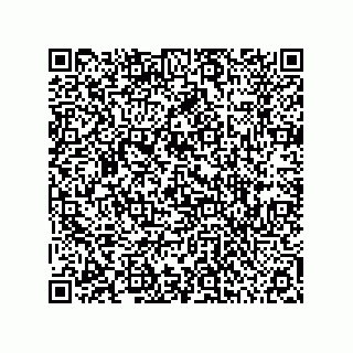 vCard 74733004173