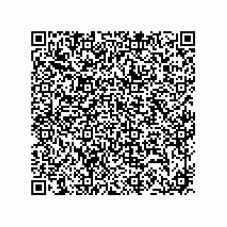 vCard 74733004199