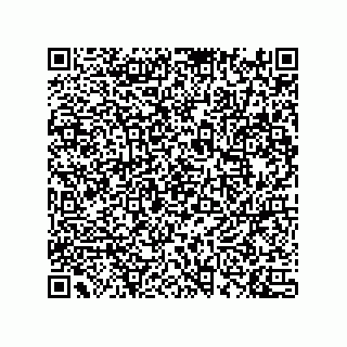 vCard 74733004219