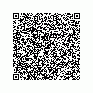 vCard 74733004249