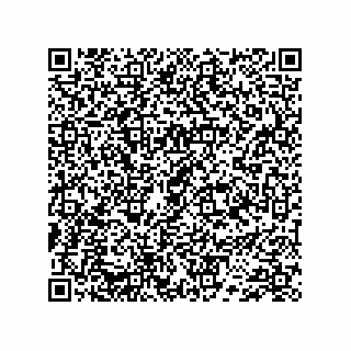 vCard 74733004271