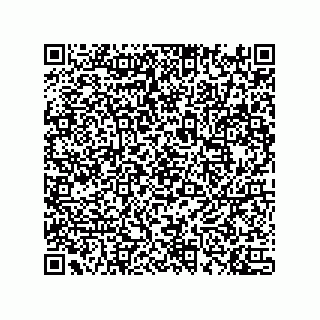 vCard 74733004297