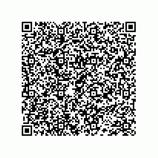 vCard 74733004299