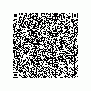 vCard 74733004303