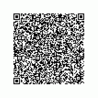 vCard 74733004311