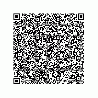 vCard 74733333039