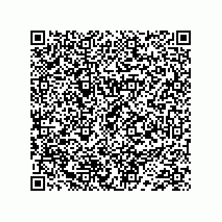 vCard 74733333176