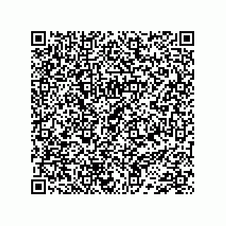 vCard 74733333181