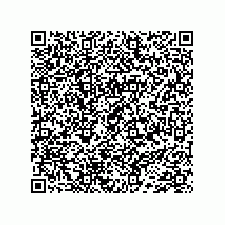 vCard 74733333251