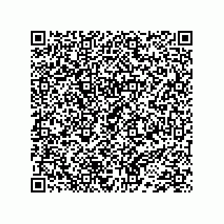vCard 74733333300