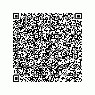 vCard 74733333365