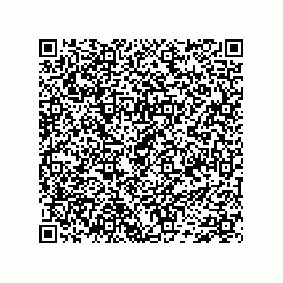 vCard 74733742529