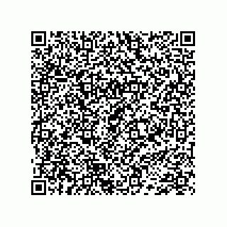 vCard 74733742711