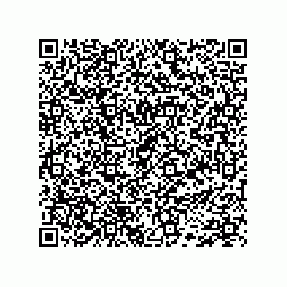 vCard 74733742799
