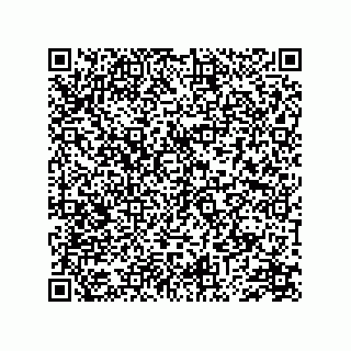 vCard 74734260313