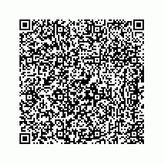 vCard 74735340313