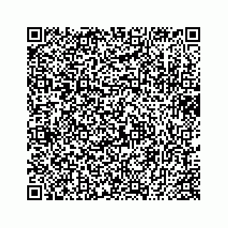 vCard 74735631103