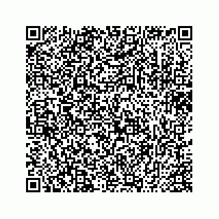 vCard 74735631331