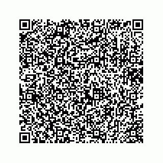 vCard 74735631381