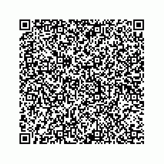 vCard 74737230315