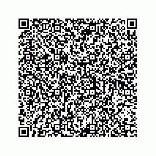vCard 74737261796