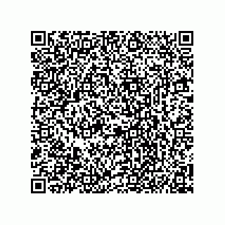 vCard 74746740384