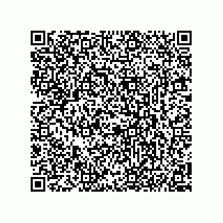 vCard 74746790389