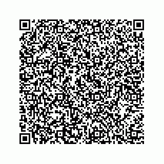vCard 74813420331
