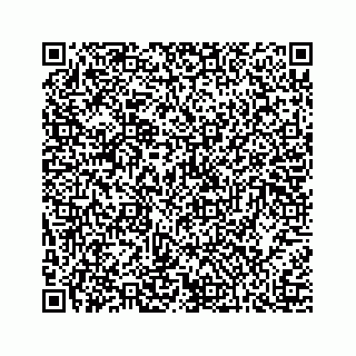 vCard 74813440311