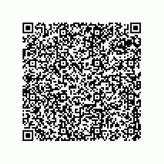 vCard 74813541313