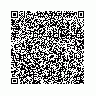 vCard 74813826631