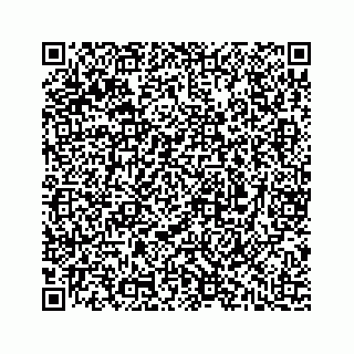 vCard 74813923179