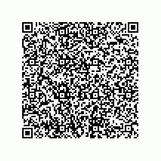 vCard 74822498727
