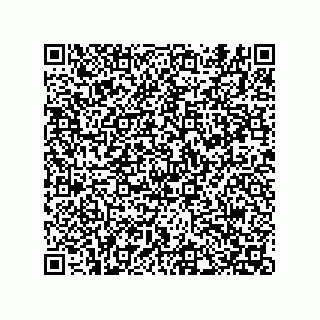 vCard 74822513271