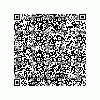 vCard 74822513281