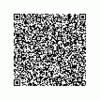 vCard 74822513334