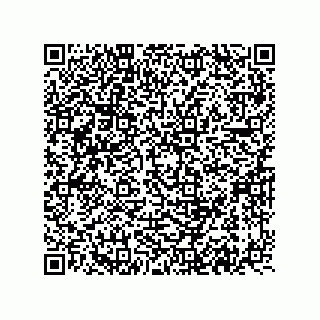 vCard 74822513809